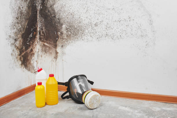 Bastrop, TX Mold Remediation Company