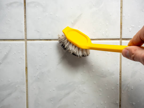 Best Bathroom Mold Remediation in Bastrop, TX