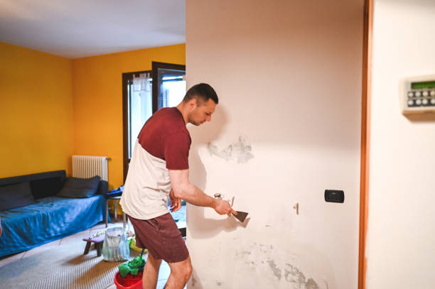 Best Preventive Mold Services in Bastrop, TX