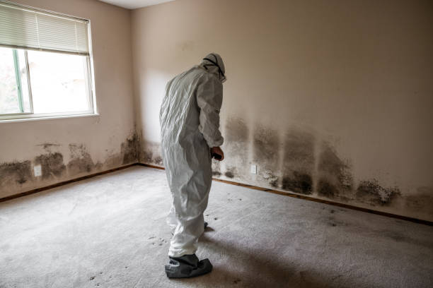 Bastrop, TX Mold Remediation Company